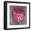 Pink Zinnia-Erin Clark-Framed Art Print