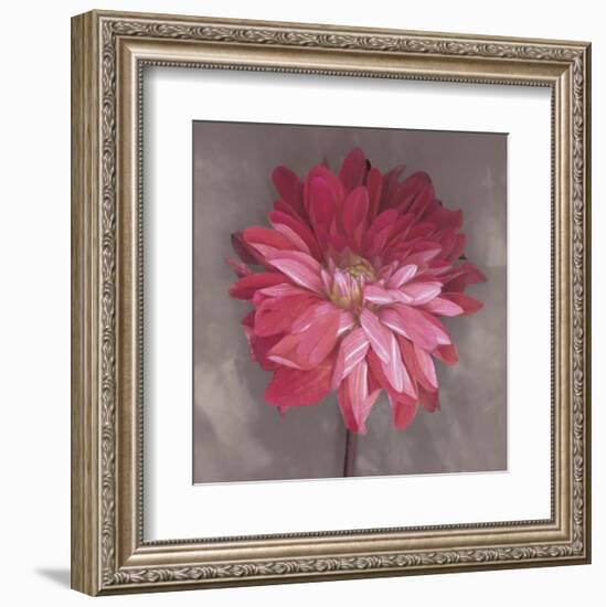 Pink Zinnia-Erin Clark-Framed Art Print