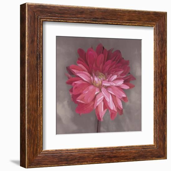 Pink Zinnia-Erin Clark-Framed Art Print