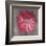 Pink Zinnia-Erin Clark-Framed Art Print