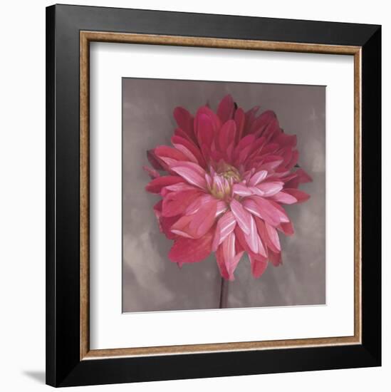 Pink Zinnia-Erin Clark-Framed Art Print