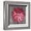 Pink Zinnia-Erin Clark-Framed Art Print