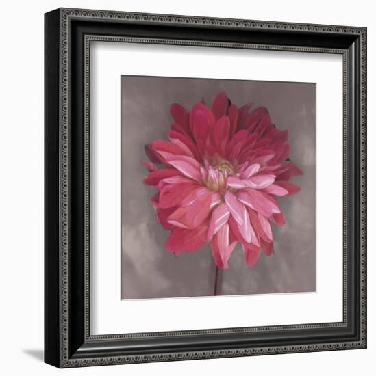 Pink Zinnia-Erin Clark-Framed Art Print