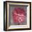 Pink Zinnia-Erin Clark-Framed Art Print