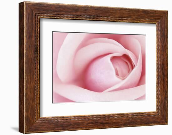 Pink-Brian Leighton-Framed Art Print