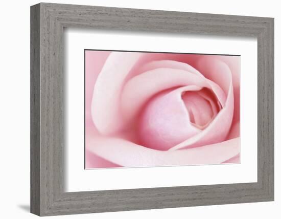 Pink-Brian Leighton-Framed Art Print