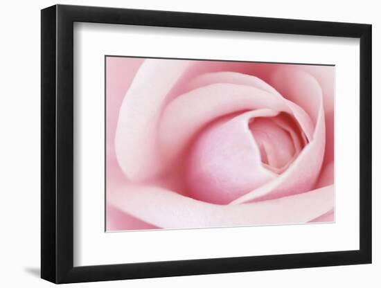 Pink-Brian Leighton-Framed Art Print