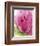 Pink-Dawn Derman-Framed Art Print