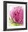 Pink-Dawn Derman-Framed Art Print