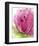 Pink-Dawn Derman-Framed Art Print