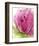 Pink-Dawn Derman-Framed Art Print