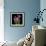 Pinkalicious  Hyacynths-Magda Indigo-Framed Photographic Print displayed on a wall