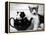 Pinkie the Guinea Pig and Perky the Kitten Tottenahm London, September 1978-null-Framed Premier Image Canvas