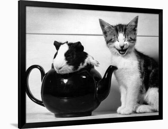 Photographic Print, , large