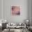 Pinkish-Jeannie Sellmer-Giclee Print displayed on a wall