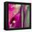 Pinky A-Tracy Hiner-Framed Premier Image Canvas