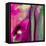 Pinky A-Tracy Hiner-Framed Premier Image Canvas