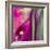 Pinky A-Tracy Hiner-Framed Giclee Print