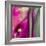 Pinky A-Tracy Hiner-Framed Giclee Print