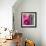 Pinky A-Tracy Hiner-Framed Giclee Print displayed on a wall