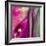 Pinky A-Tracy Hiner-Framed Giclee Print