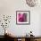 Pinky A-Tracy Hiner-Framed Giclee Print displayed on a wall