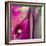 Pinky A-Tracy Hiner-Framed Giclee Print