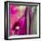 Pinky A-Tracy Hiner-Framed Giclee Print