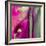 Pinky A-Tracy Hiner-Framed Giclee Print