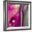 Pinky A-Tracy Hiner-Framed Giclee Print