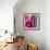 Pinky A-Tracy Hiner-Framed Giclee Print displayed on a wall