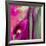 Pinky A-Tracy Hiner-Framed Giclee Print