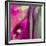 Pinky A-Tracy Hiner-Framed Giclee Print