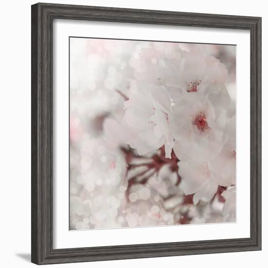 Pinky Blossom 2-LightBoxJournal-Framed Premium Giclee Print