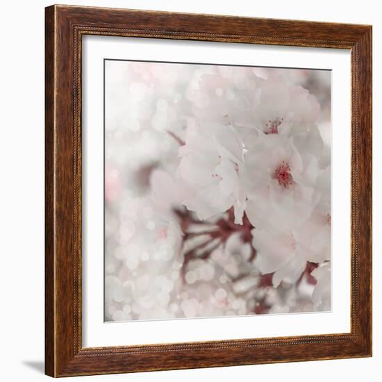 Pinky Blossom 2-LightBoxJournal-Framed Giclee Print