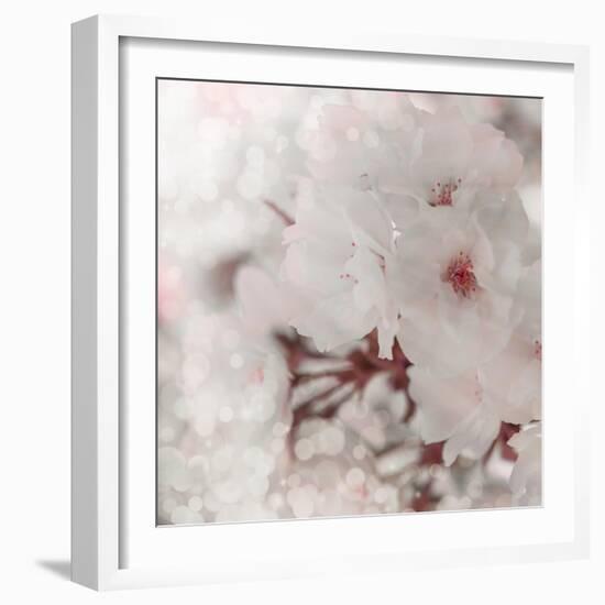 Pinky Blossom 2-LightBoxJournal-Framed Giclee Print