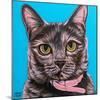 Pinky Cat-Carolee Vitaletti-Mounted Art Print