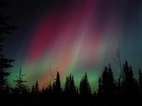 D. Aurora Borealis Alaska Red Skies Northern Lights Copper Center Alaska-pinky-Premier Image Canvas