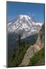 Pinnacle Peak Trail at Pinnacle saddle. Mount Rainier National Park-Alan Majchrowicz-Mounted Photographic Print