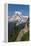 Pinnacle Peak Trail at Pinnacle saddle. Mount Rainier National Park-Alan Majchrowicz-Framed Premier Image Canvas