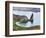 Pinnacle Rock, Isla Bartholome, Galapagos Islands, UNESCO World Heritage Site, Ecuador-Christian Kober-Framed Photographic Print