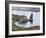 Pinnacle Rock, Isla Bartholome, Galapagos Islands, UNESCO World Heritage Site, Ecuador-Christian Kober-Framed Photographic Print