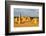 Pinnacles Desert W. Australia-null-Framed Premium Giclee Print