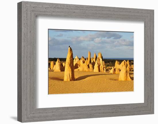 Pinnacles Desert W. Australia-null-Framed Premium Giclee Print