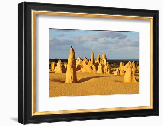 Pinnacles Desert W. Australia-null-Framed Premium Giclee Print