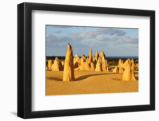 Pinnacles Desert W. Australia-null-Framed Premium Giclee Print