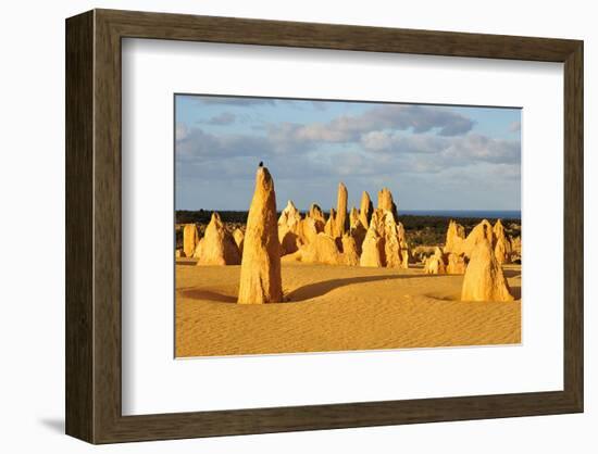 Pinnacles Desert W. Australia-null-Framed Premium Giclee Print