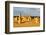 Pinnacles Desert W. Australia-null-Framed Premium Giclee Print