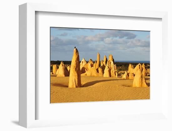 Pinnacles Desert W. Australia-null-Framed Premium Giclee Print