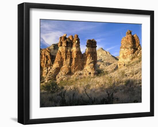 Pinnacles in Red Canyon, Big Bend National Park, Texas, USA-Scott T. Smith-Framed Photographic Print